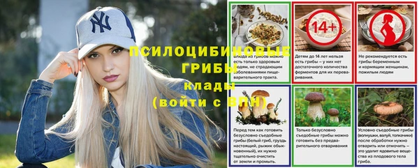 эйфоретик Новозыбков