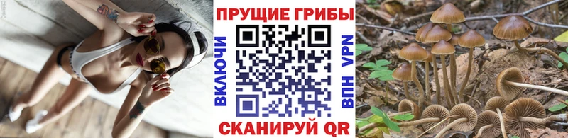 Псилоцибиновые грибы мицелий  хочу наркоту  Сызрань 