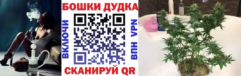 блэк спрут tor  Сызрань  Канабис план 